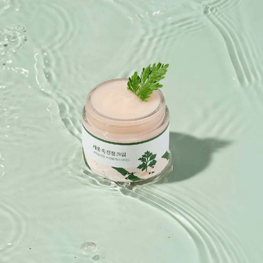 ROUND LAB | Mugwort Calming Cream
